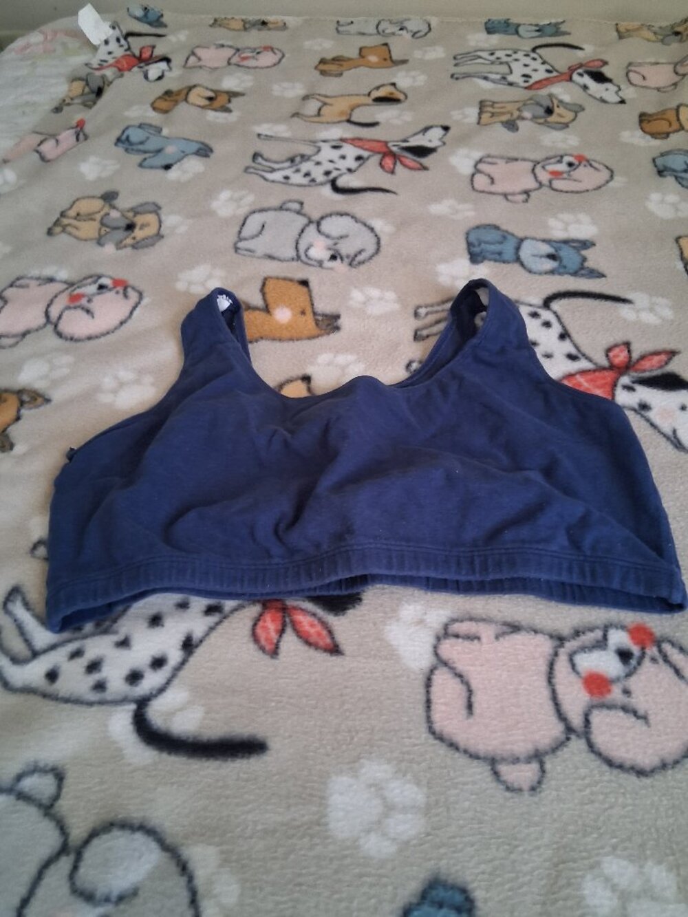 LADIES SPORTS  BRA  GENTLY USED PLUS SIZED